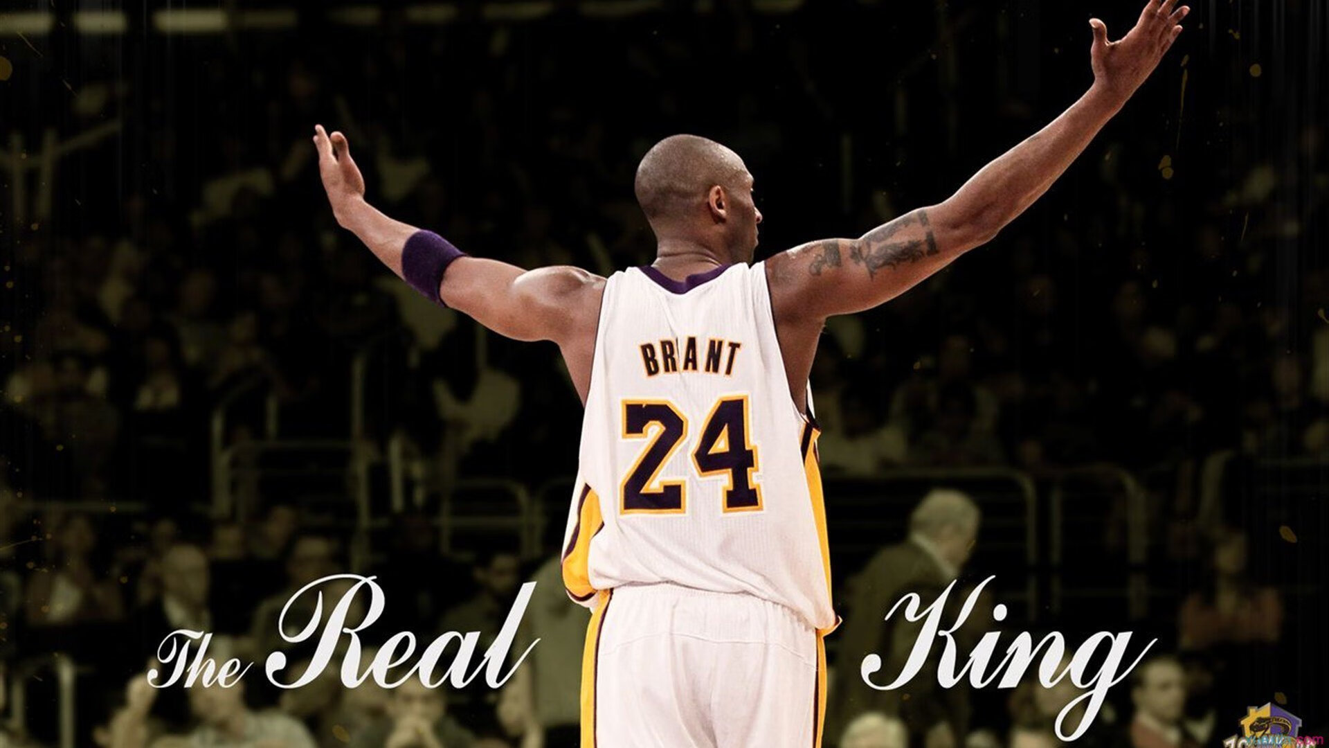 跨界风暴！哈兰德空降篮网决赛引发体育界降维打击争议，跨界风暴！哈兰德空降篮网决赛引发体育界降维打击争议