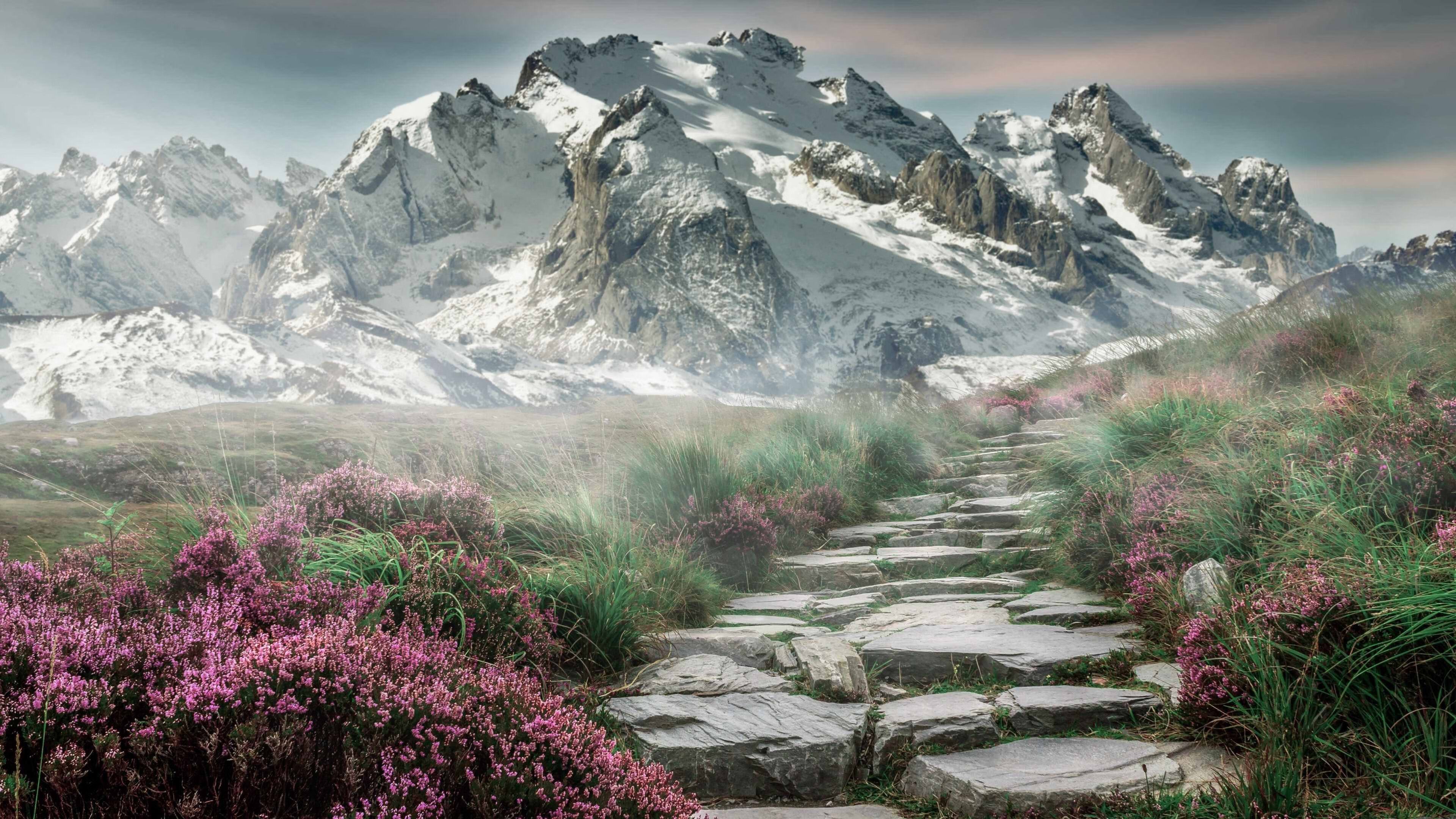 v7.2.5 正式发布，2026年4月30日，开启智能协作新纪元